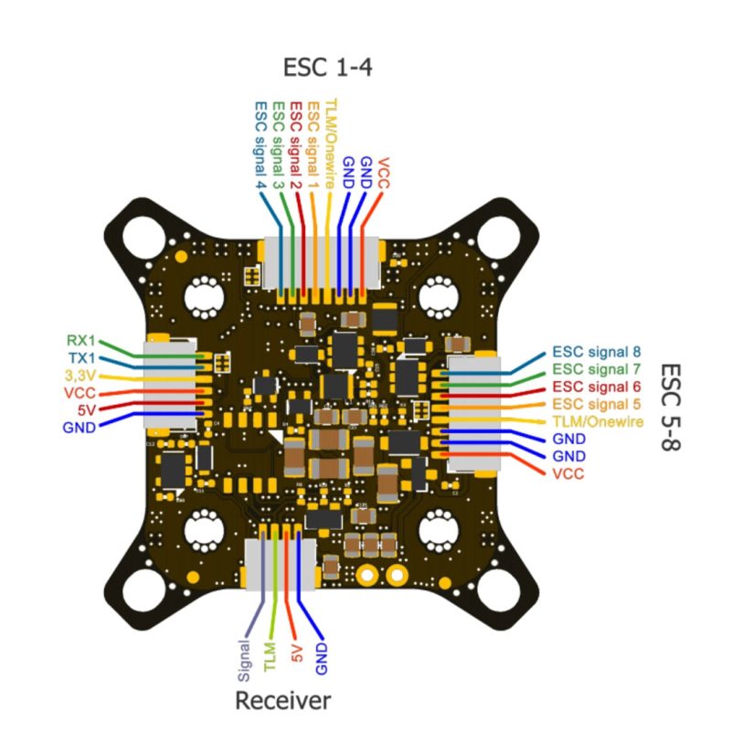 fettecg4g